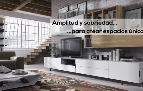 Salones, Muebles de Salón en Segovia